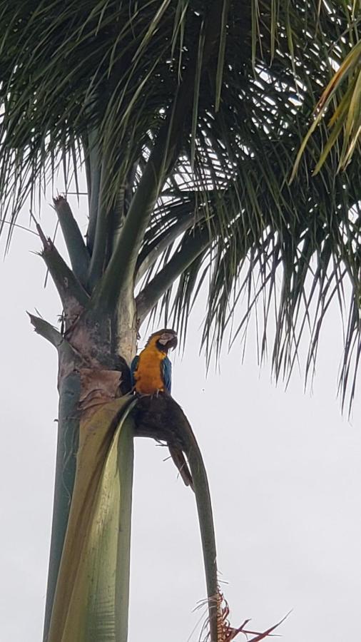 Apê Lindo Aldeia Do Com Cozinha Mobília Nova Junto Ao Corumbá E Kawana Park Caldas Novas